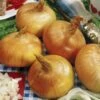 Walla Walla Sweet Onion Sets -Park Seed® Shop 55331 pk 60