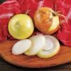 Texas Super-Sweet Onion Sets -Park Seed® Shop 96540 pk 60