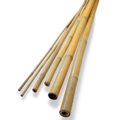 Bamboo Plant Stakes - Set Of 12 -Park Seed® Shop 96885 PK 12 1