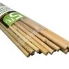 Bamboo Plant Stakes - Set Of 12 -Park Seed® Shop 96885 pk 12