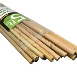 Bamboo Plant Stakes - Set Of 12