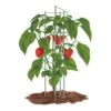 Pepper Supports - Pack Of 3 -Park Seed® Shop 96971 pk 3