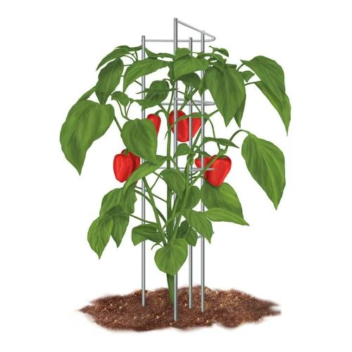Pepper Supports - Pack Of 3 3 Pepper Supports - Pack Of 3