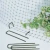 Park's Anti-Bird Net And Ground Anchors 2 Park's Anti-Bird Net And Ground Anchors -Park Seed® Shop v1553