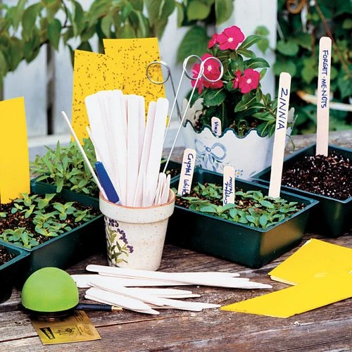 White Birch Plant Tags 4 White Birch Plant Tags - Image 2