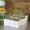 Park-Starts® Seed Starters And Refills -Park Seed® Shop v1595