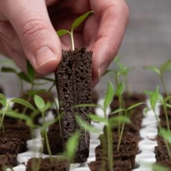 Park's Original Bio Dome Seed-Starting System -Park Seed® Shop v1802 4