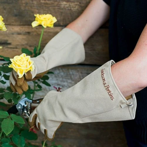 Jackson & Perkins Rose Gloves 3 Jackson & Perkins Rose Gloves