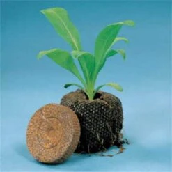 Park's One-Step Seed Starter -Park Seed® Shop v2118 2