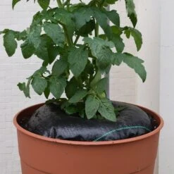 TreeDiaper® Hydration System -Park Seed® Shop v2318 1