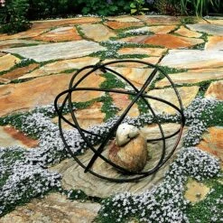 Isotoma Blue Star Creeper 7 Isotoma Blue Star Creeper -Park Seed® Shop v2602 2